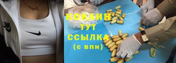 спайс Арсеньев
