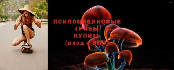 ECSTASY Армянск